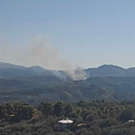 Πυρκαγιά σε δασική έκταση στα Διάσελα Ηλείας