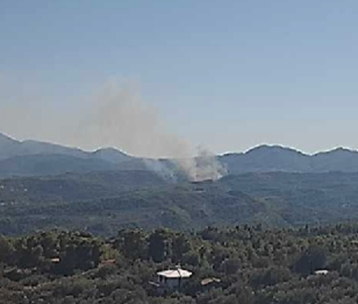 Πυρκαγιά σε δασική έκταση στα Διάσελα Ηλείας Πυρκαγιά σε δασική έκταση στα Διάσελα Ηλείας