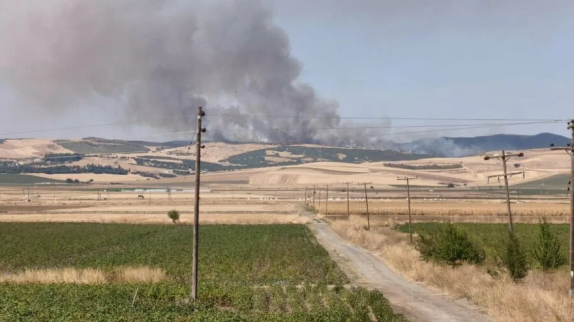 Πυρκαγιά σε χαμηλή βλάστηση στο Πολυδάμειο Λάρισας – Επιχειρούν 30 πυροσβέστες και 4 εναέρια μέσα