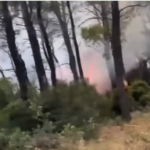 Πυρκαγιά σε αγροτοδασική έκταση στον Άγιο Αθανάσιο Ευβοίας – Επιχειρούν 25 πυροσβέστες και 1 ελικόπτερο