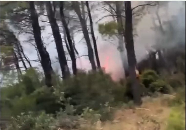 Πυρκαγιά σε αγροτοδασική έκταση στον Άγιο Αθανάσιο Ευβοίας – Επιχειρούν 25 πυροσβέστες και 1 ελικόπτερο