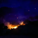Πυρκαγιά σε δασική έκταση στους Λιαπάδες Κέρκυρας – Επιχειρούν 15 πυροσβέστες