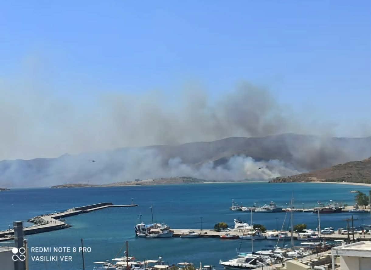 Ενισχύθηκαν οι δυνάμεις στην πυρκαγιά στην Κάρυστο – Επιχειρούν 60 πυροσβέστες και 13 εναέρια μέσα Ενισχύθηκαν οι δυνάμεις στην πυρκαγιά στην Κάρυστο – Επιχειρούν 60 πυροσβέστες και 13 εναέρια μέσα