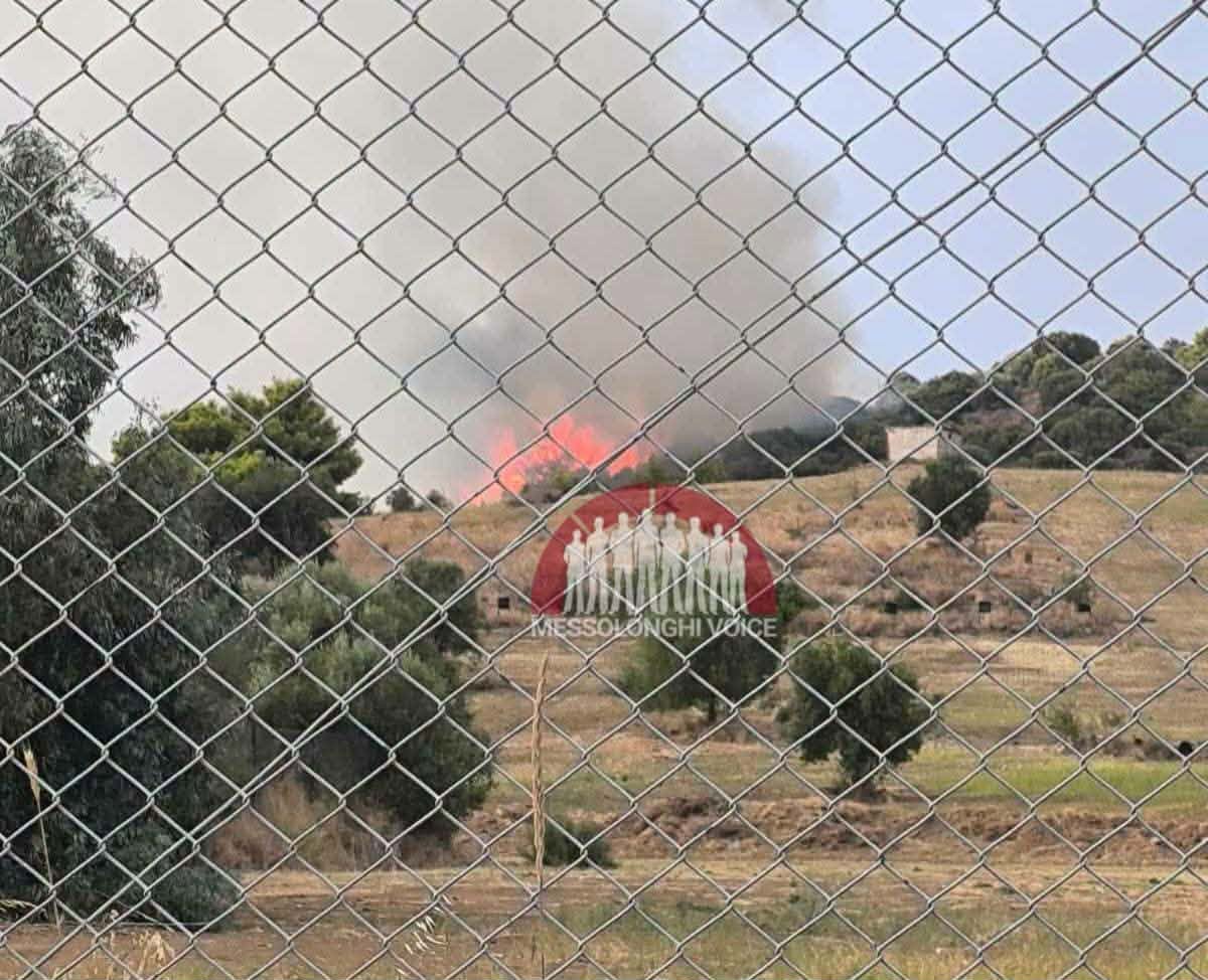 Πυρκαγιά σε αγροτοδασική έκταση στην Αγριλιά Μεσολογγίου – Επιχειρούν 32 πυροσβέστες και 5 αεροσκάφη