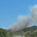 Πυρκαγιά σε δασική έκταση στον Ελεώνα Βοιωτίας