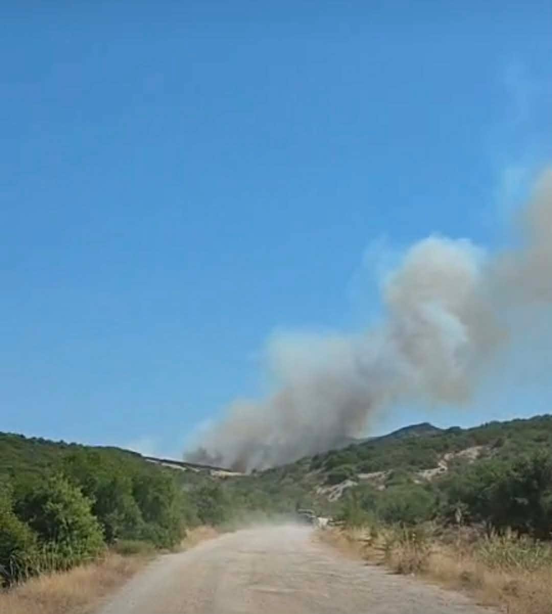 Πυρκαγιά σε χαμηλή βλάστηση στην περιοχή Μύτικας Θηβαίων Πυρκαγιά σε χαμηλή βλάστηση στην περιοχή Μύτικας Θηβαίων