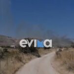Πυρκαγιά σε χαμηλή βλάστηση στην Κάρυστο Ευβοίας – Επιχειρούν 32 πυροσβέστες και 6 εναέρια μέσα