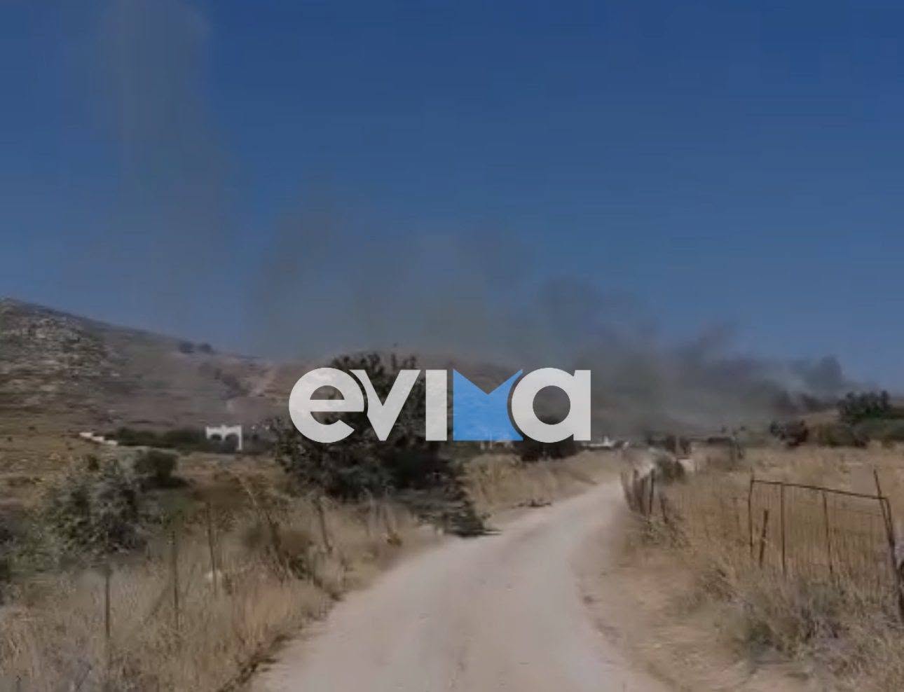 Πυρκαγιά σε χαμηλή βλάστηση στην Κάρυστο Ευβοίας – Επιχειρούν 32 πυροσβέστες και 6 εναέρια μέσα
