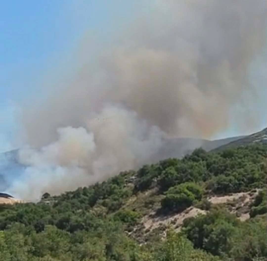 Πυρκαγιά σε χαμηλή βλάστηση στην περιοχή Μύτικας Θηβαίων