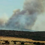 Ενισχύθηκαν οι δυνάμεις στην πυρκαγιά στον Μύτικα Θηβαίων – Επιχειρούν 76 πυροσβέστες και 14 εναέρια μέσα