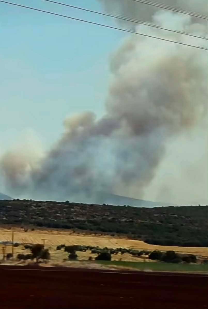 Ενισχύθηκαν οι δυνάμεις στην πυρκαγιά στον Μύτικα Θηβαίων – Επιχειρούν 76 πυροσβέστες και 14 εναέρια μέσα