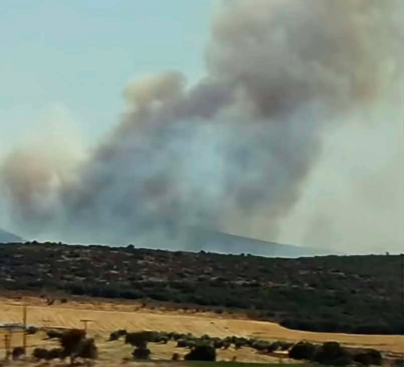 Ενισχύθηκαν οι δυνάμεις στην πυρκαγιά στον Μύτικα Θηβαίων – Επιχειρούν 76 πυροσβέστες και 14 εναέρια μέσα