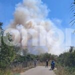 Πυρκαγιά σε αγροτοδασική έκταση στις Θίνες Βαρθολομιού Ηλείας – Επιχειρούν 38 πυροσβέστες και 1 ελικόπτερο
