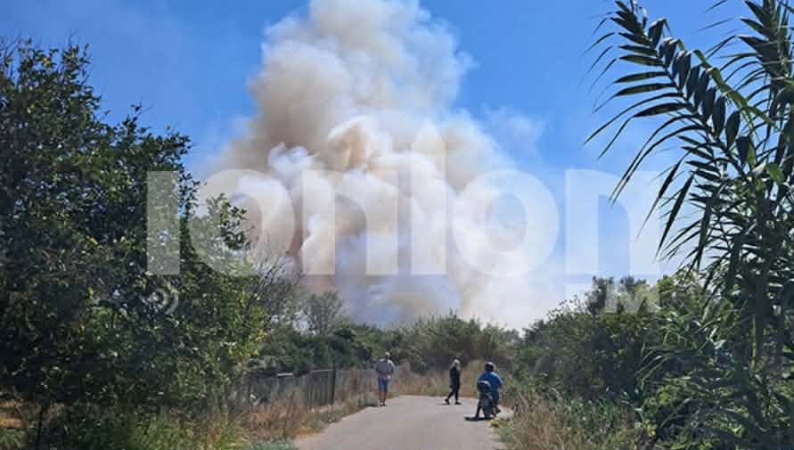 Πυρκαγιά σε αγροτοδασική έκταση στις Θίνες Βαρθολομιού Ηλείας – Επιχειρούν 38 πυροσβέστες και 1 ελικόπτερο Πυρκαγιά σε αγροτοδασική έκταση στις Θίνες Βαρθολομιού Ηλείας – Επιχειρούν 38 πυροσβέστες και 1 ελικόπτερο