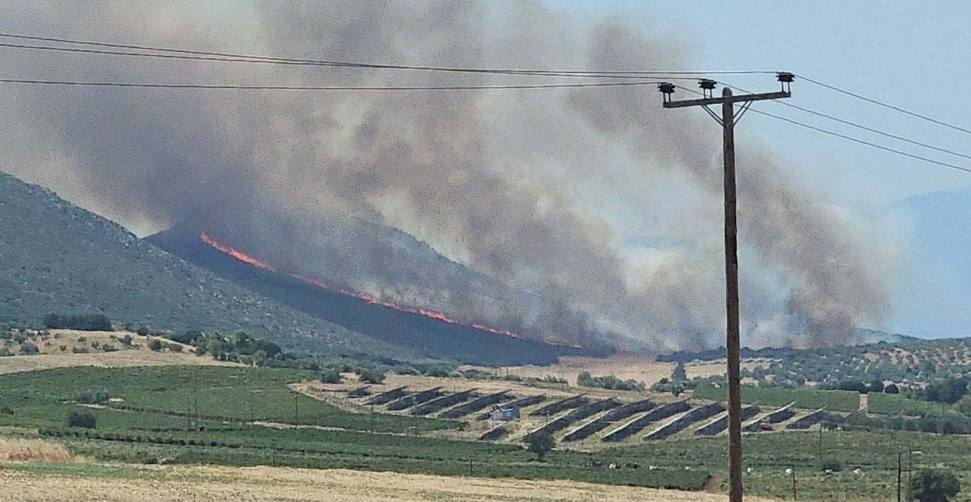 Πυρκαγιά σε χαμηλή βλάστηση στην περιοχή Μύτικας Θηβαίων Πυρκαγιά σε χαμηλή βλάστηση στην περιοχή Μύτικας Θηβαίων