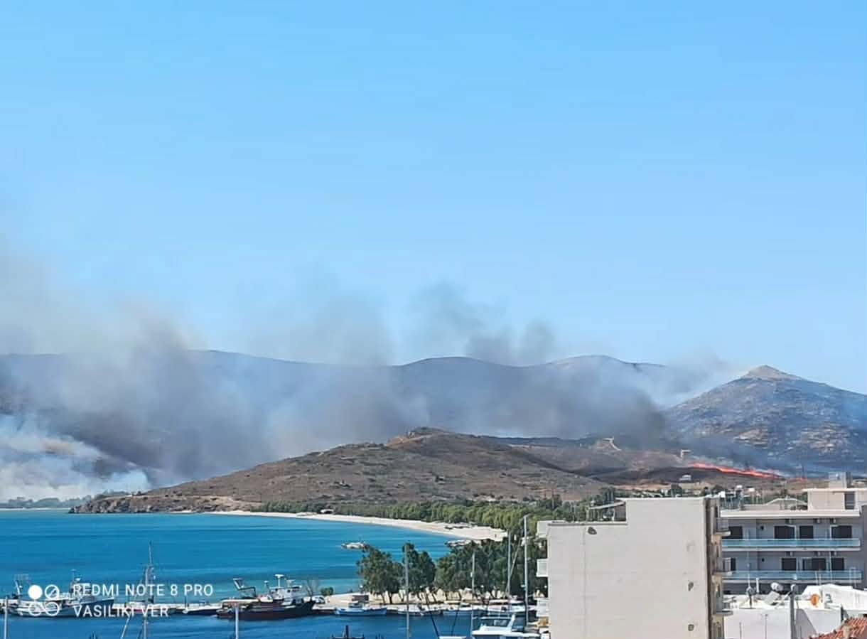 Ενισχύθηκαν οι δυνάμεις στην πυρκαγιά στην Κάρυστο – Επιχειρούν 60 πυροσβέστες και 13 εναέρια μέσα