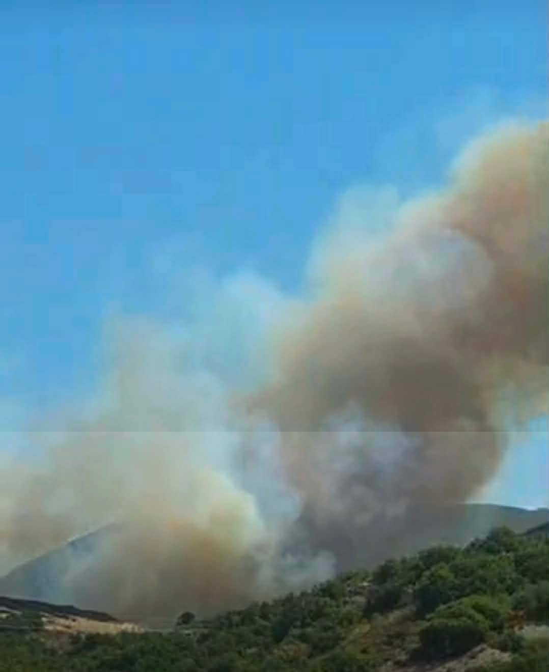 Πυρκαγιά σε χαμηλή βλάστηση στην περιοχή Μύτικας Θηβαίων