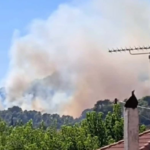 Ενισχύθηκαν οι δυνάμεις στην πυρκαγιά στη Σκιλλουντία Ηλείας – 45 πυροσβέστες και 10 αεροσκάφη