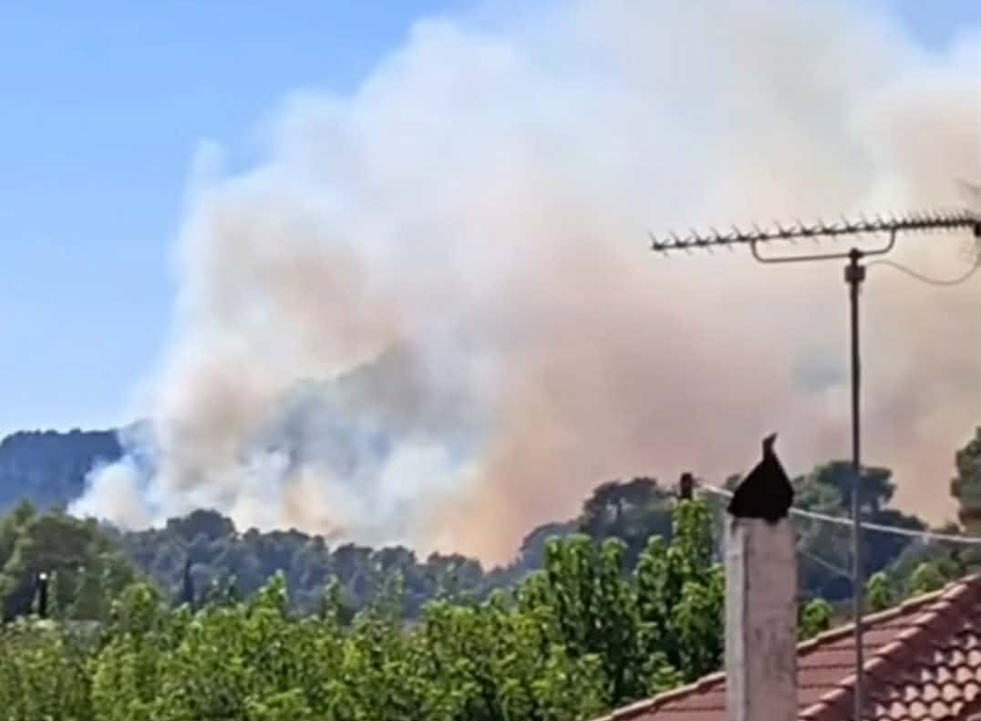 Ενισχύθηκαν οι δυνάμεις στην πυρκαγιά στη Σκιλλουντία Ηλείας – 45 πυροσβέστες και 10 αεροσκάφη