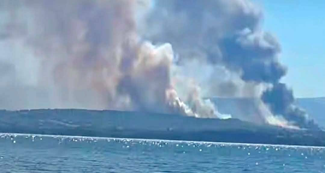 Πυρκαγιά σε δασική έκταση στην Τανάγρα Βοιωτίας Πυρκαγιά σε δασική έκταση στην Τανάγρα Βοιωτίας