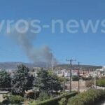 Πυρκαγιά σε δασική έκταση στην Αλεξανδρούπολη – Επιχειρούν 16 πυροσβέστες και 4 εναέρια μέσα