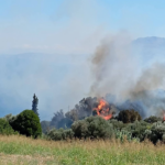Πυρκαγιά σε δασική έκταση στην περιοχή Μισόκαμπος Ευβοίας – Επιχειρούν 30 πυροσβέστες και 2 αεροσκάφη