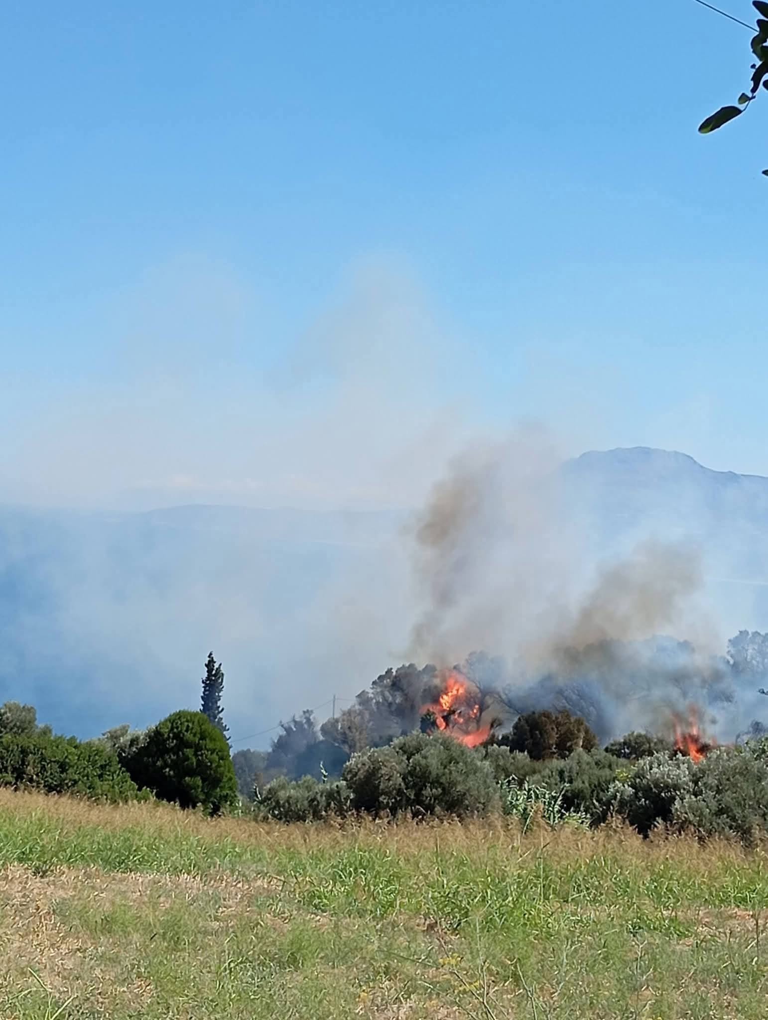 Πυρκαγιά σε δασική έκταση στην περιοχή Μισόκαμπος Ευβοίας – Επιχειρούν 30 πυροσβέστες και 2 αεροσκάφη