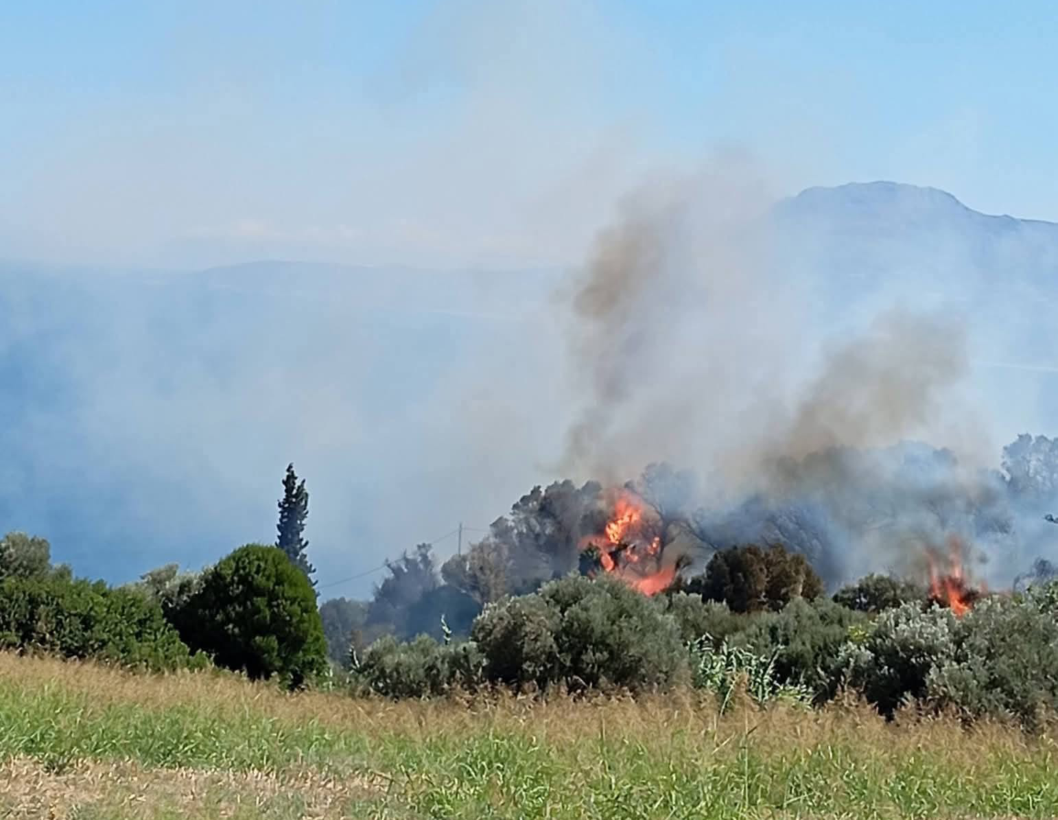 Πυρκαγιά σε δασική έκταση στην περιοχή Μισόκαμπος Ευβοίας – Επιχειρούν 30 πυροσβέστες και 2 αεροσκάφη