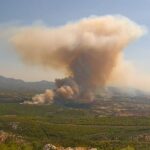 Πυρκαγιά σε δασική έκταση στη Μακρυκάπα Ευβοίας – Επιχειρούν 55 πυροσβέστες και 5 εναέρια μέσα