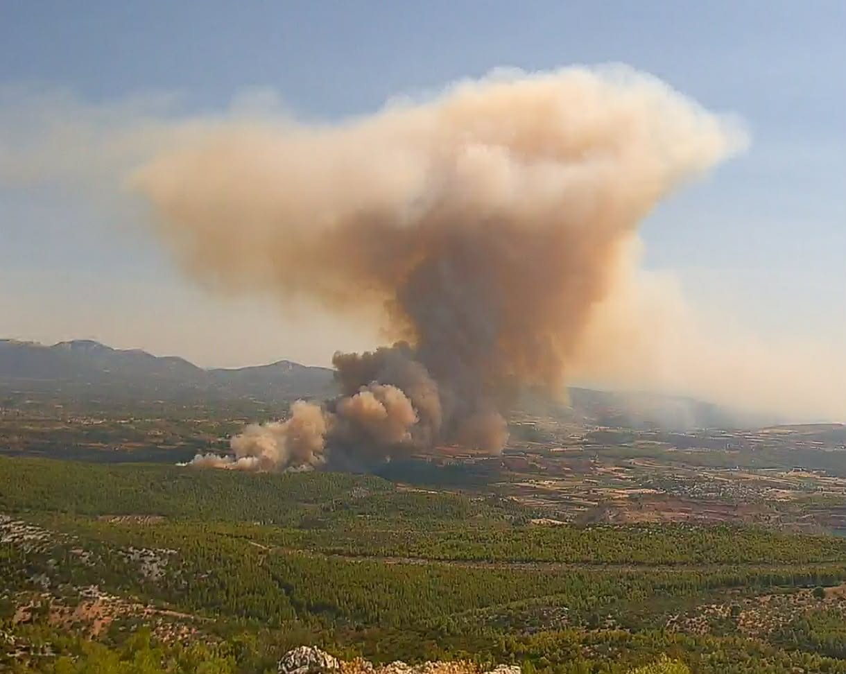 Πυρκαγιά σε δασική έκταση στη Μακρυκάπα Ευβοίας – Επιχειρούν 55 πυροσβέστες και 5 εναέρια μέσα