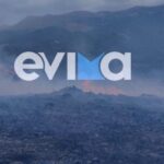 Πυρκαγιά σε δασική έκταση στο Παραδείσι Ευβοίας – Επιχειρούν 30 πυροσβέστες και 4 εναέρια μέσα