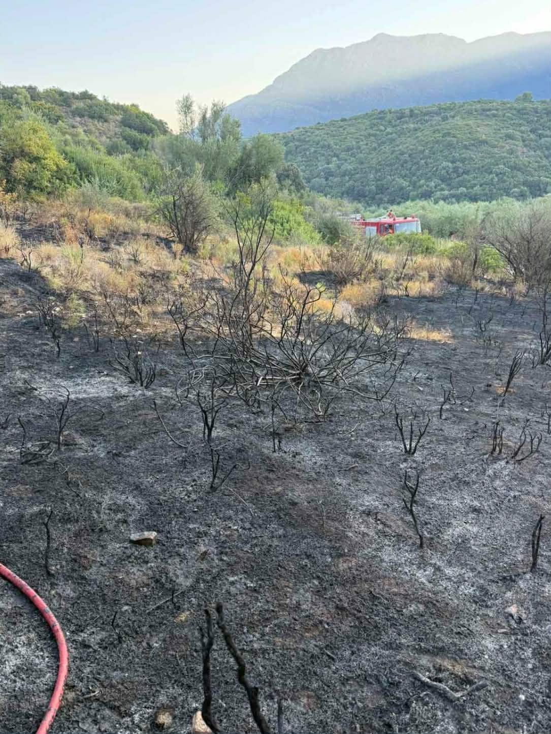 Πυρκαγιά σε αγροτοδασική έκταση στην Πλατή Μεσσηνίας – Επιχειρούν 16 πυροσβέστες