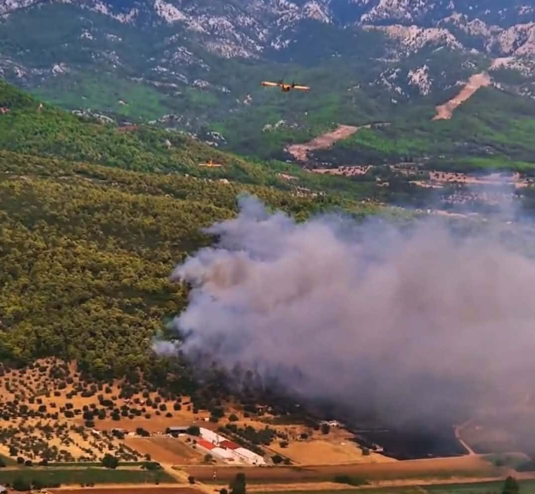 Πυροσβεστική: 33 αγροτοδασικές πυρκαγιές το τελευταίο 24ωρο