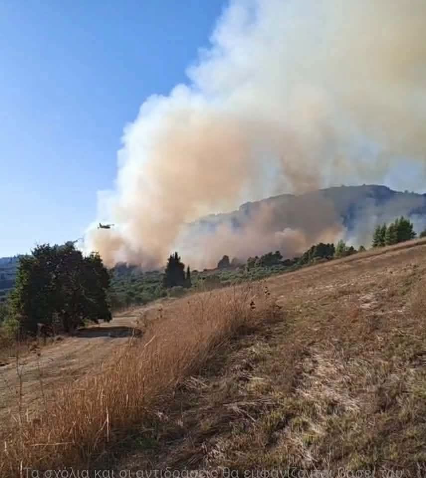Ενισχύθηκαν οι δυνάμεις στην πυρκαγιά στη Σκιλλουντία Ηλείας – 45 πυροσβέστες και 10 αεροσκάφη Ενισχύθηκαν οι δυνάμεις στην πυρκαγιά στη Σκιλλουντία Ηλείας – 45 πυροσβέστες και 10 αεροσκάφη