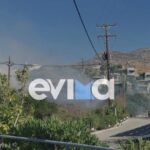 Πυρκαγιά σε χαμηλή βλάστηση στον Αετό Καρύστου – Επιχειρούν 28 πυροσβέστες και 6 εναέρια μέσα