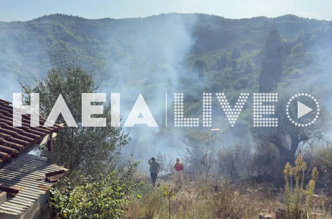 Πυρκαγιά σε αγροτοδασική έκταση στο Χειμαδιό Ηλείας – Επιχειρούν 22 πυροσβέστες και 3 αεροσκάφη