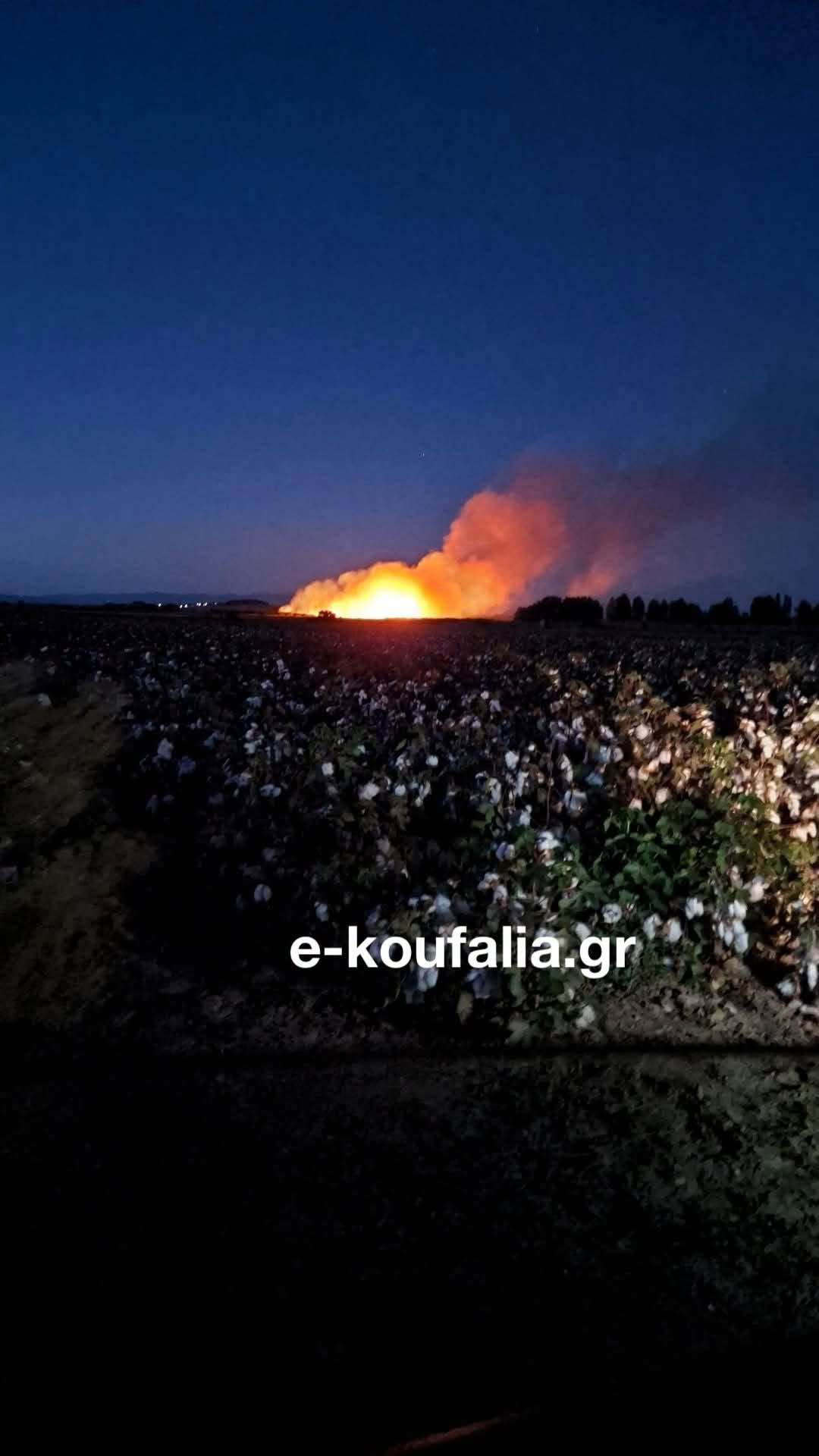 Πυρκαγιά σε χορτολιβαδική έκταση στα Άθυρα Πέλλας – Επιχειρούν 20 πυροσβέστες με 10 οχήματα Πυρκαγιά σε χορτολιβαδική έκταση στα Άθυρα Πέλλας – Επιχειρούν 20 πυροσβέστες με 10 οχήματα