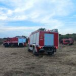 Πυρκαγιά σε χαμηλή βλάστηση στο Μυλοχώρι Κιλκίς – Επιχειρούν 20 πυροσβέστες με 8 οχήματα