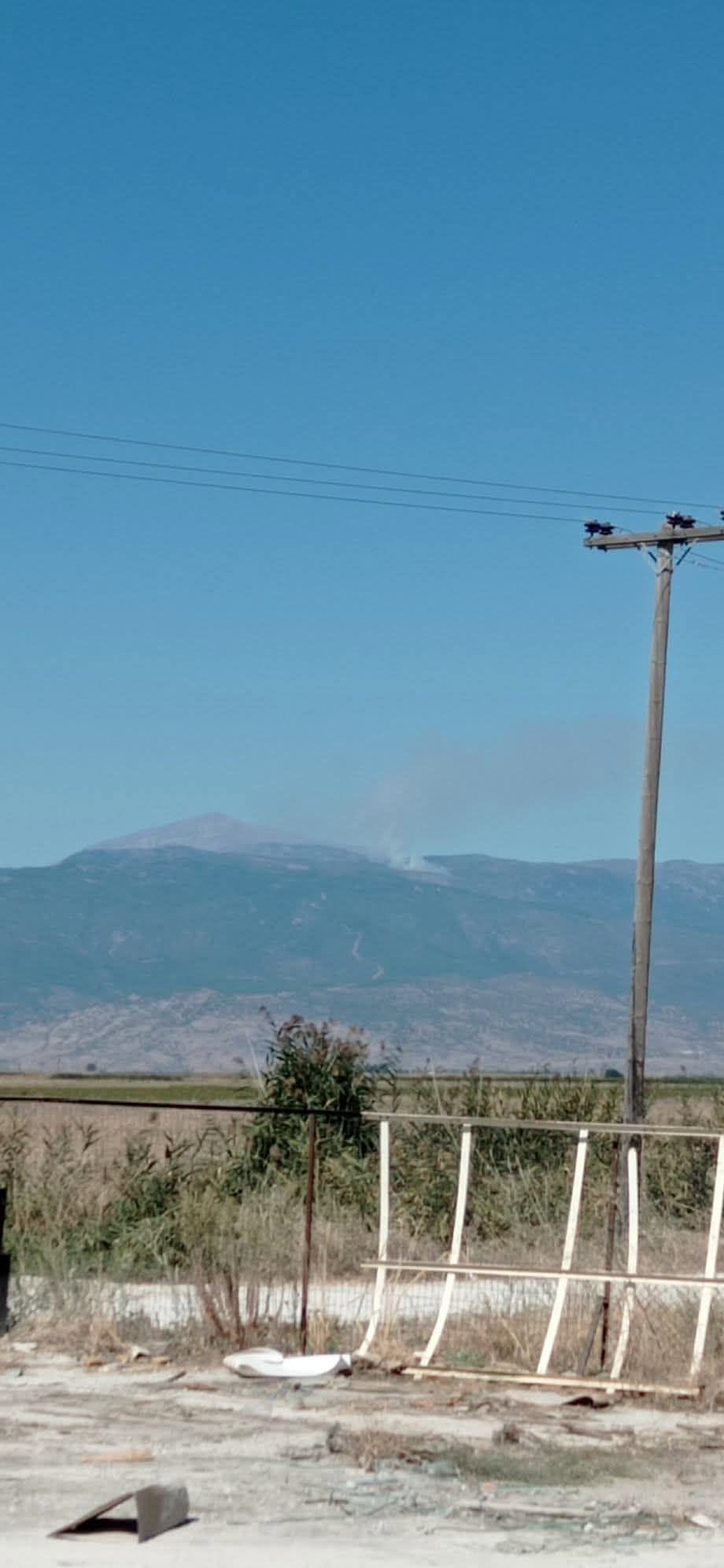 Πυρκαγιά σε δασική έκταση στην Ανατολή Λάρισας – Επιχειρούν 45 πυροσβέστες και 5 εναέρια μέσα
