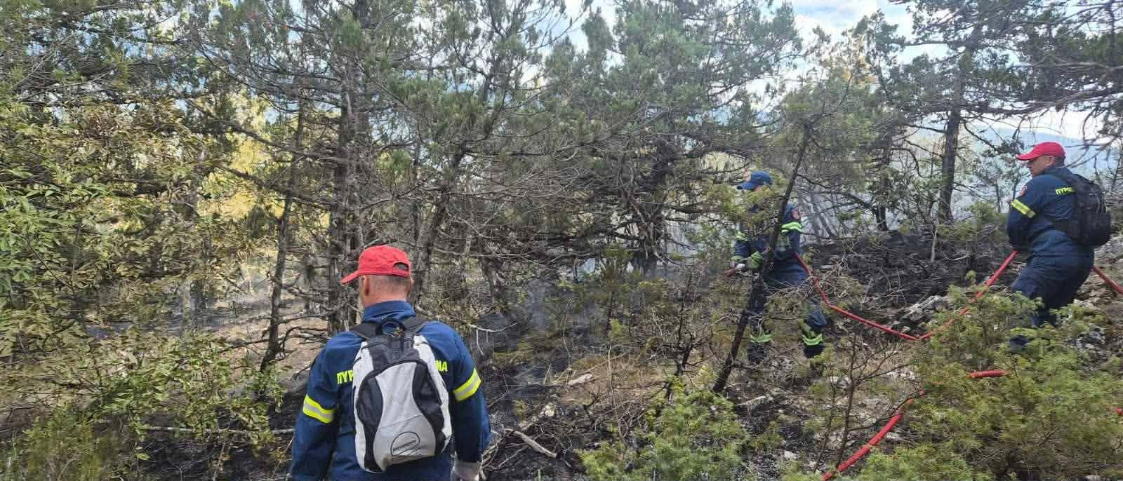 Πυροσβεστική: 16 αγροτοδασικές πυρκαγιές το τελευταίο 24ωρο