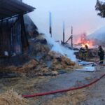 Πυρκαγιά σε κτηνοτροφική μονάδα στη Θερμή Μυτιλήνης