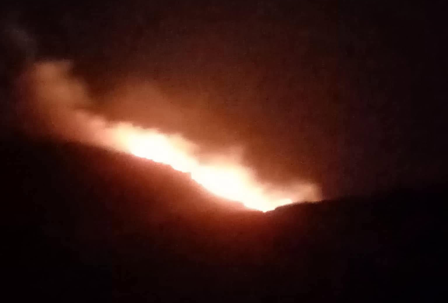 Πυρκαγιά σε χαμηλή βλάστηση στα Παράκοιλα Λέσβου Πυρκαγιά σε χαμηλή βλάστηση στα Παράκοιλα Λέσβου