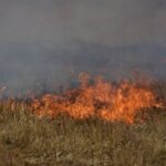 Άμεσα υπό έλεγχο πυρκαγιά σε ξηρά χόρτα στον Προφήτη Ηλία Κορωπίου – Κινητοποιήθηκαν 22 πυροσβέστες