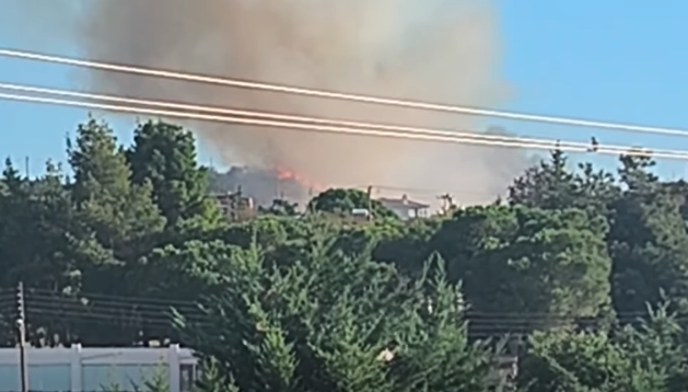 Πυρκαγιά σε χαμηλή βλάστηση στο Νέο Ρύσιο Θεσσαλονίκης – Επιχειρούν 30 πυροσβέστες και 2 εναέρια μέσα Πυρκαγιά σε χαμηλή βλάστηση στο Νέο Ρύσιο Θεσσαλονίκης – Επιχειρούν 30 πυροσβέστες και 2 εναέρια μέσα