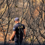 Σύλληψη 25χρονου αλλοδαπού για εμπρησμό από πρόθεση στο Λαγονήσι Αττικής