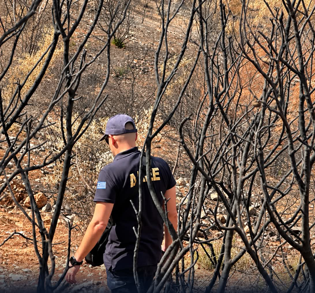 Σύλληψη 25χρονου αλλοδαπού για εμπρησμό από πρόθεση στο Λαγονήσι Αττικής