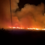 Πυρκαγιά σε δασική έκταση στην Κρυσταλλοπηγή Φλώρινας – Επιχειρούν 20 πυροσβέστες