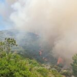 Πυρκαγιά σε αγροτοδασική έκταση στο Ψάρι Μεσσηνίας – Επιχειρούν 60 πυροσβέστες και 3 εναέρια μέσα