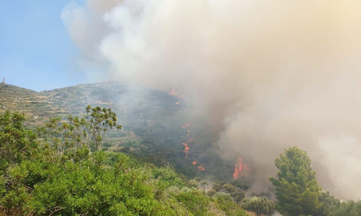 Πυρκαγιά σε αγροτοδασική έκταση στο Ψάρι Μεσσηνίας – Επιχειρούν 60 πυροσβέστες και 3 εναέρια μέσα