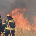 Πυρκαγιά σε χαμηλή βλάστηση στο Αγιοφύλλο Τρικάλων – Επιχειρούν 30 πυροσβέστες και 1 ελικόπτερο